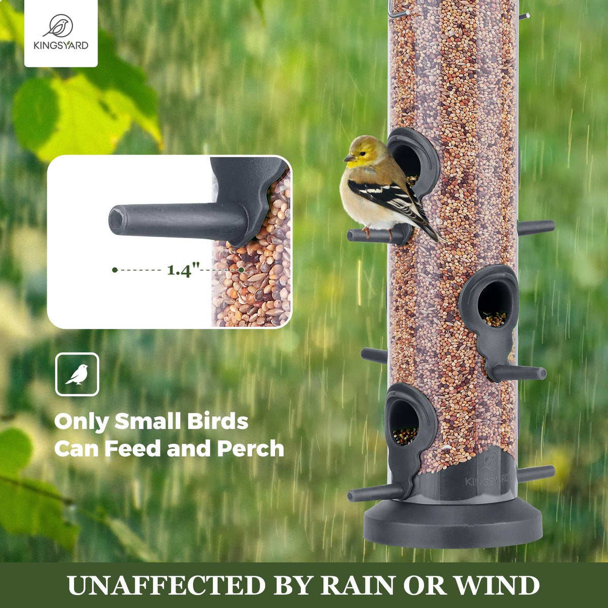 Clear seed compartment of Kingsyard feeder shows fill level clearly