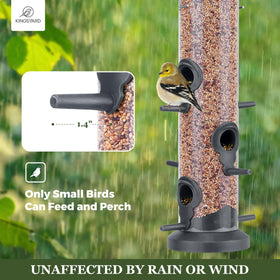 Clear seed compartment of Kingsyard feeder shows fill level clearly