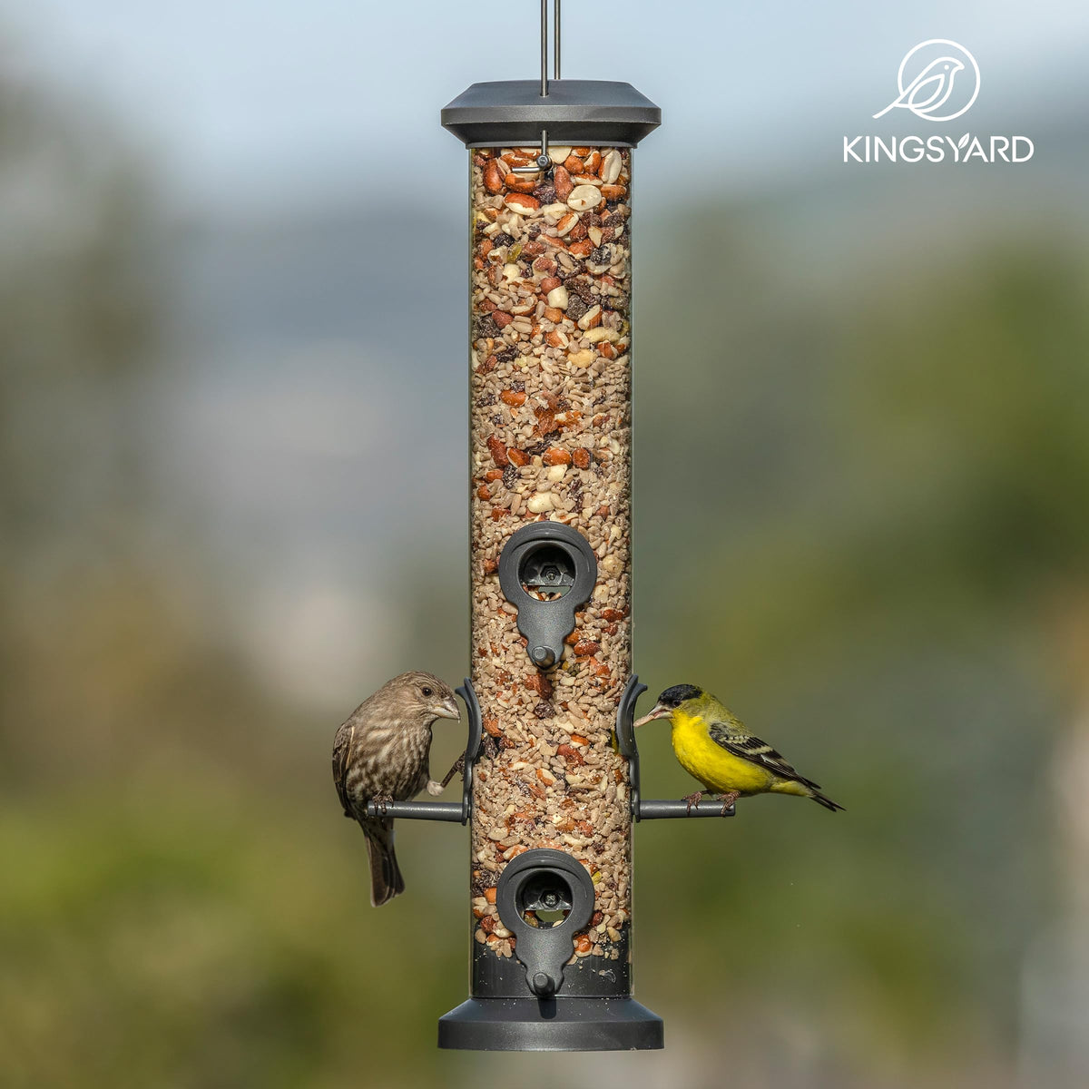 Gift-ready Kingsyard bird feeder set for nature lovers
