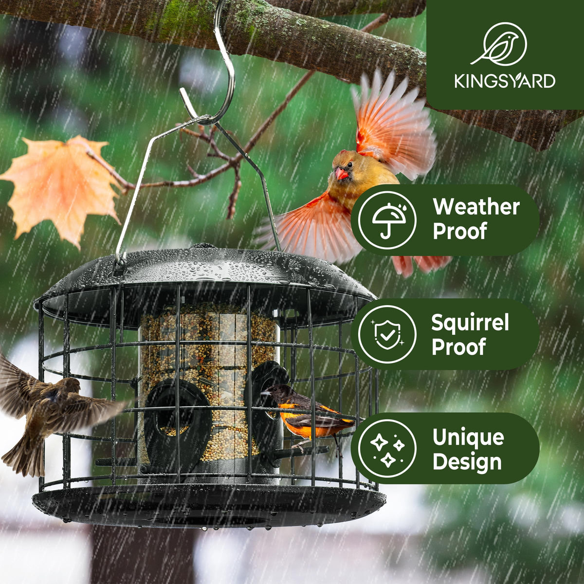 Kingsyard 360-degree feeding ports invite small birds from all sides to feed.