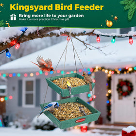 Kingsyard attracts cardinals and blue jays for daytime viewing.