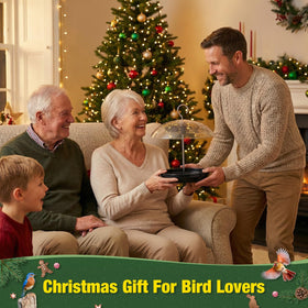 Kingsyard backyard birding made easy for family observation and enjoyment.
