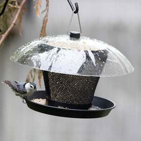 Kingsyard attracts cardinals and finches for lively garden visits