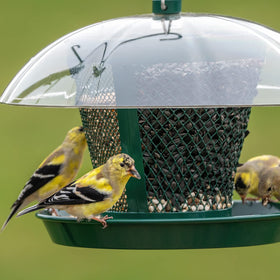 Kingsyard bird feeder being refilled with seeds for effortless maintenance.