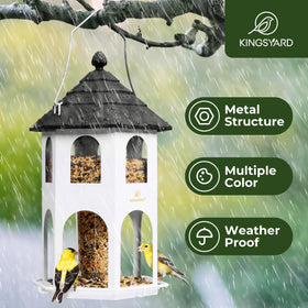 Kingsyard bird feeder with circular perch supporting multiple birds