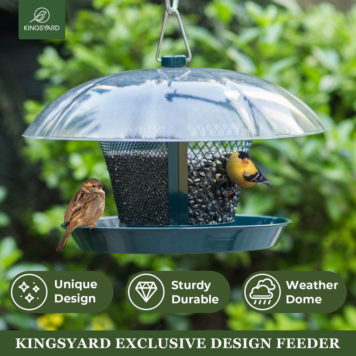 Kingsyard dual-compartment design stores two seed types to prevent crowding.
