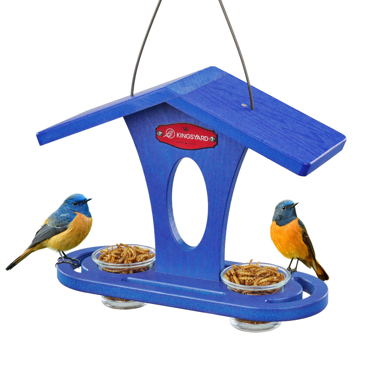 Kingsyard bird feeder outdoor hanging to attract bluebirds