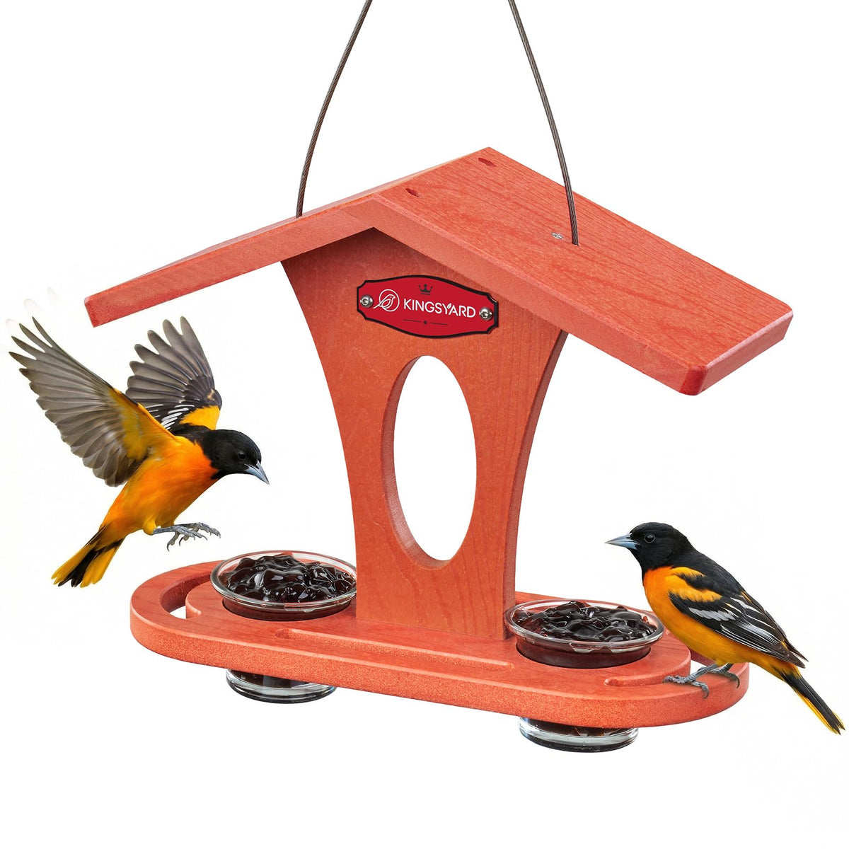 Kingsyard bird feeder outdoor hanging in orange attracts orioles with a sturdy perch