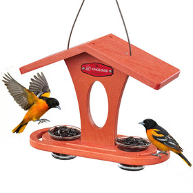 Kingsyard bird feeder outdoor hanging in orange attracts orioles with a sturdy perch