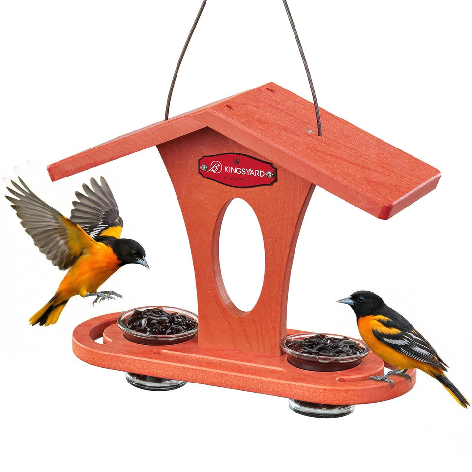 Kingsyard bird feeder outdoor hanging in orange attracts orioles with a sturdy perch