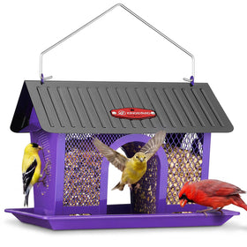 Kingsyard bird feeder outdoors hanging design attracts diverse garden birds.