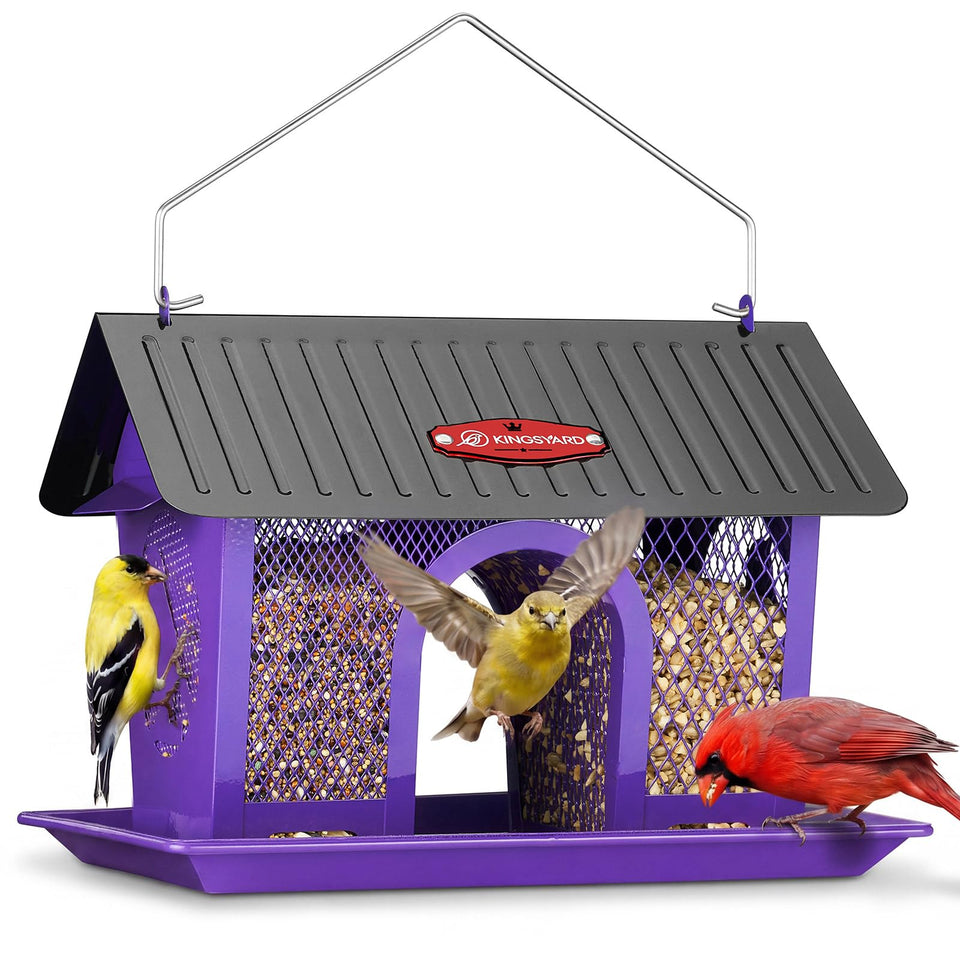 Kingsyard bird feeder outdoors hanging design attracts diverse garden birds.
