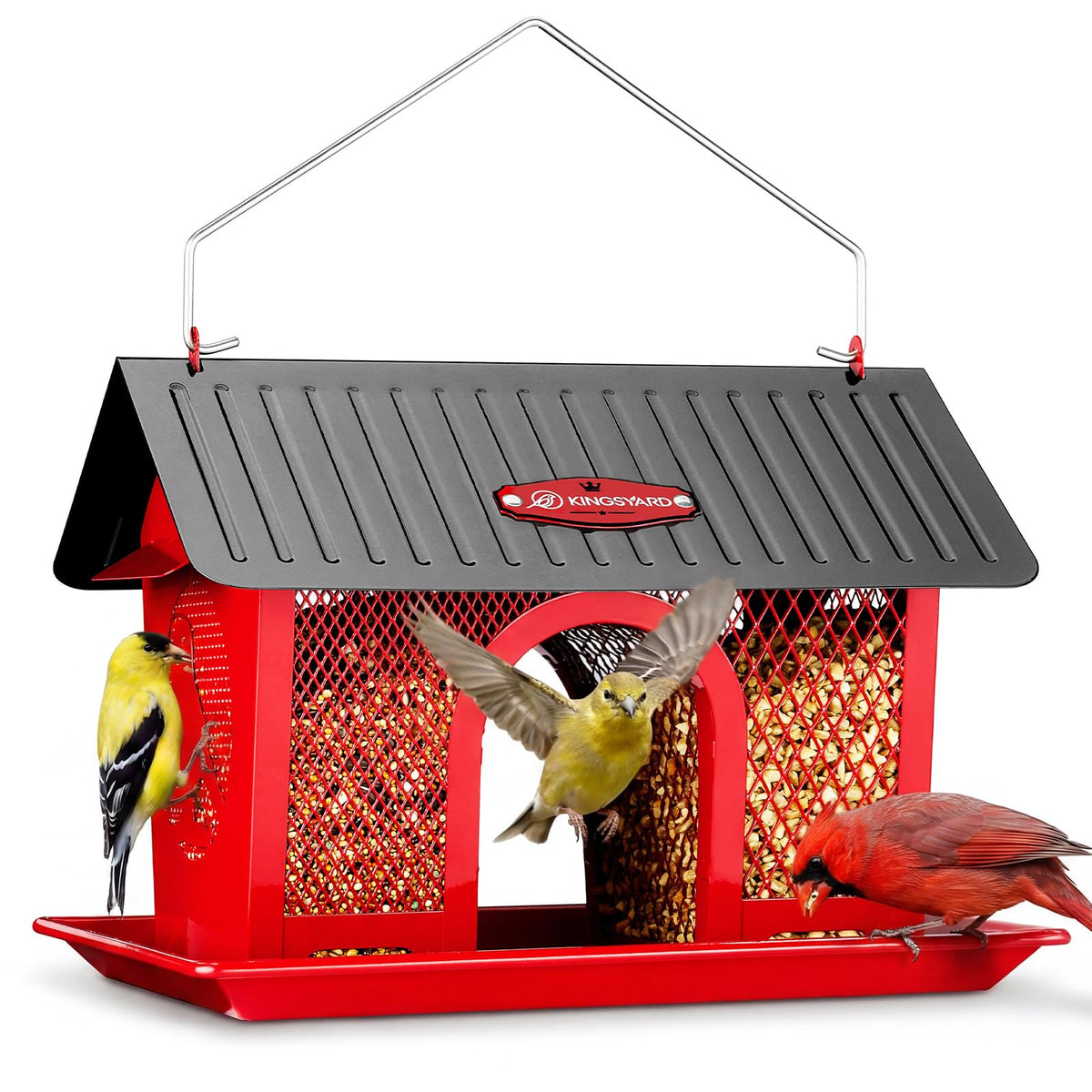 Kingsyard bird feeder outdoors hanging design attracting diverse garden visitors.