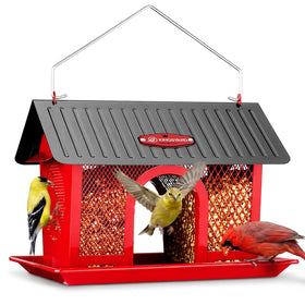 Kingsyard bird feeder outdoors hanging design attracting diverse garden visitors.