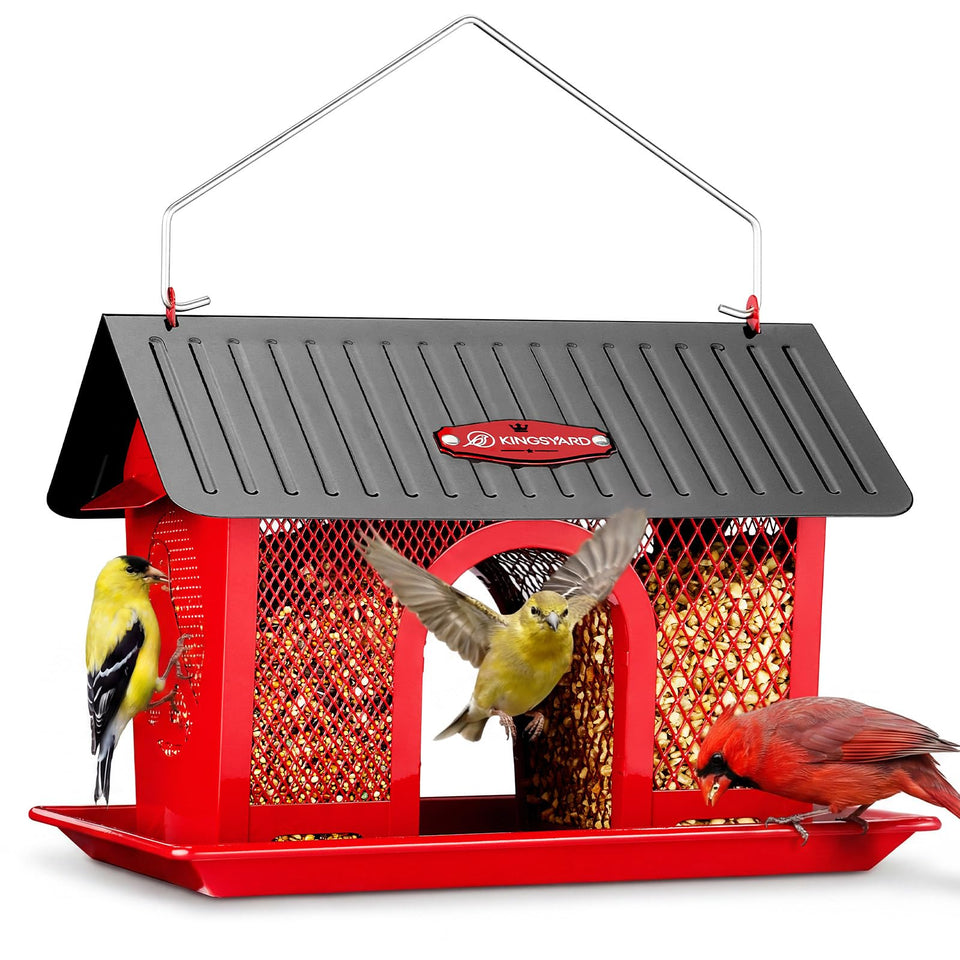 Kingsyard bird feeder outdoors hanging design attracting diverse garden visitors.