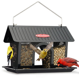 Kingsyard Bird Feeder outdoors hanging in a garden to attract diverse songbirds.