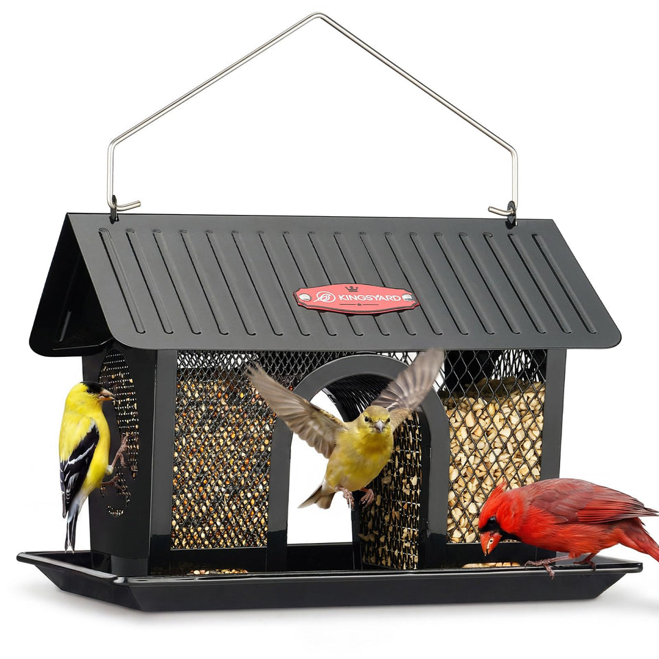 Kingsyard Bird Feeder outdoors hanging in a garden to attract diverse songbirds.