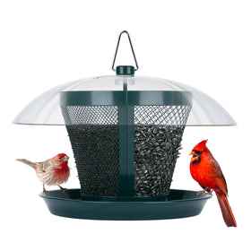 Kingsyard bird feeder outside with dome protects seeds and attracts diverse backyard birds.