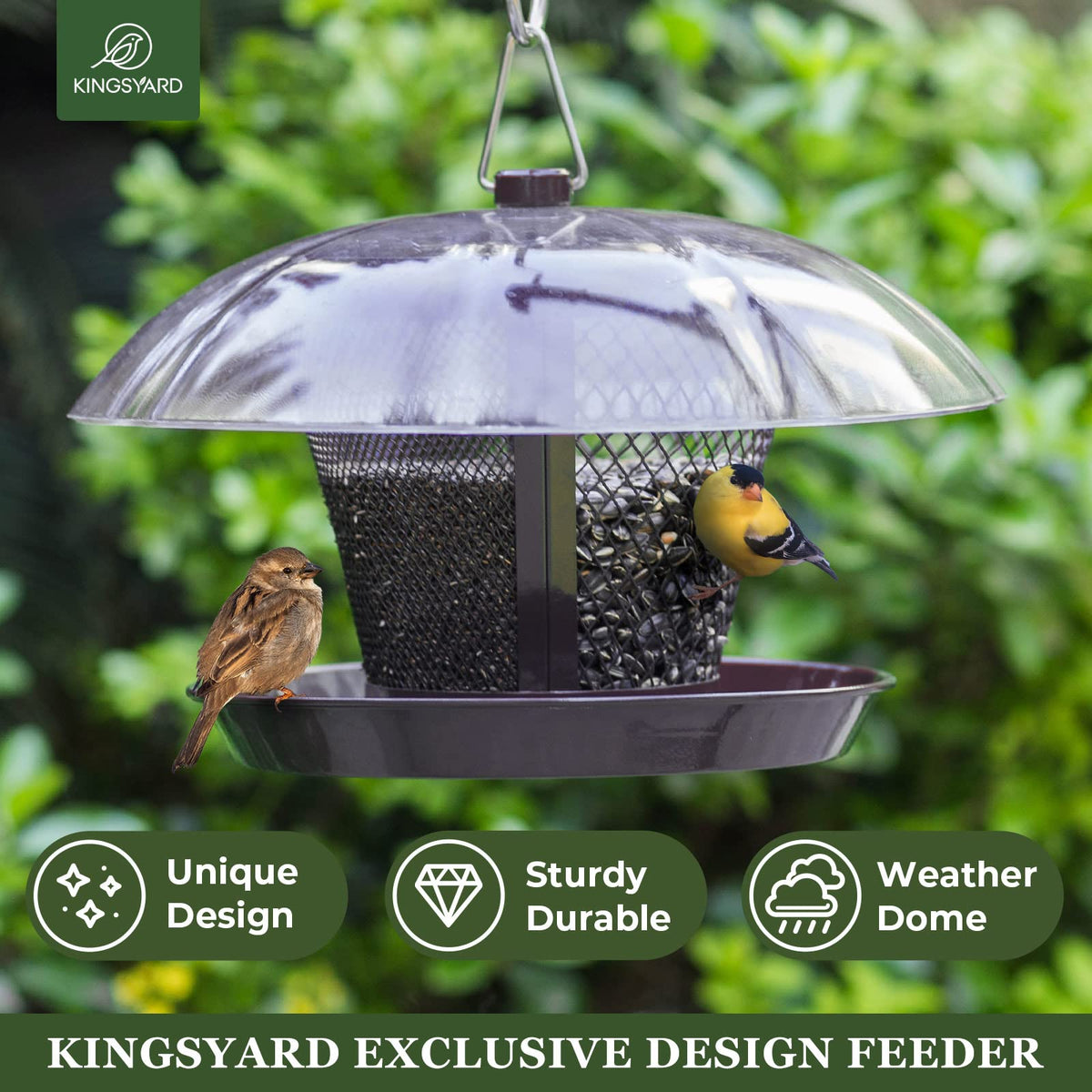 Kingsyard dual-compartment feeder separates seeds to reduce conflicts