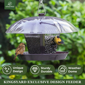 Kingsyard dual-compartment feeder separates seeds to reduce conflicts