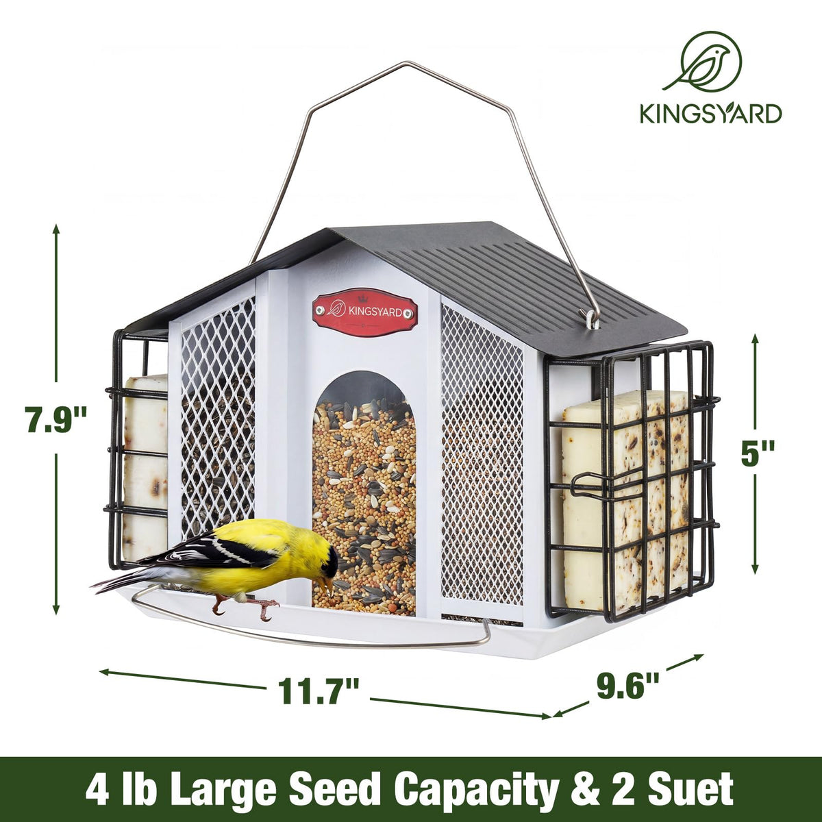Kingsyard side suet cages allow simultaneous feeding for multiple birds