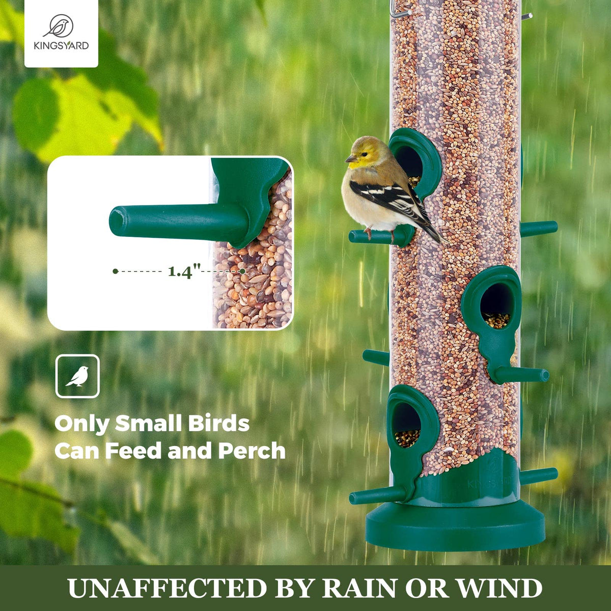 Kingsyard bird feeder with transparent seed compartment to monitor seed levels.