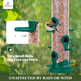 Kingsyard bird feeder with transparent seed compartment to monitor seed levels.