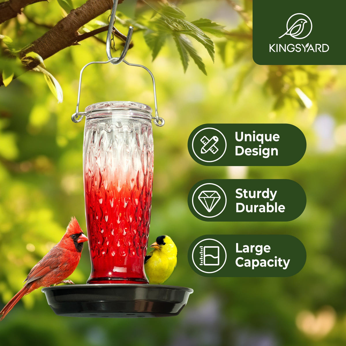 Kingsyard bird water feeder glass container invites perching and sipping.
