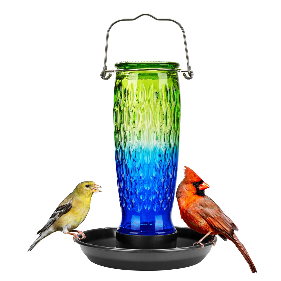 Kingsyard bird water feeder with glass container for outdoor viewing and attracting birds.