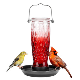 Kingsyard bird water feeder with glass container for outdoor hydration.