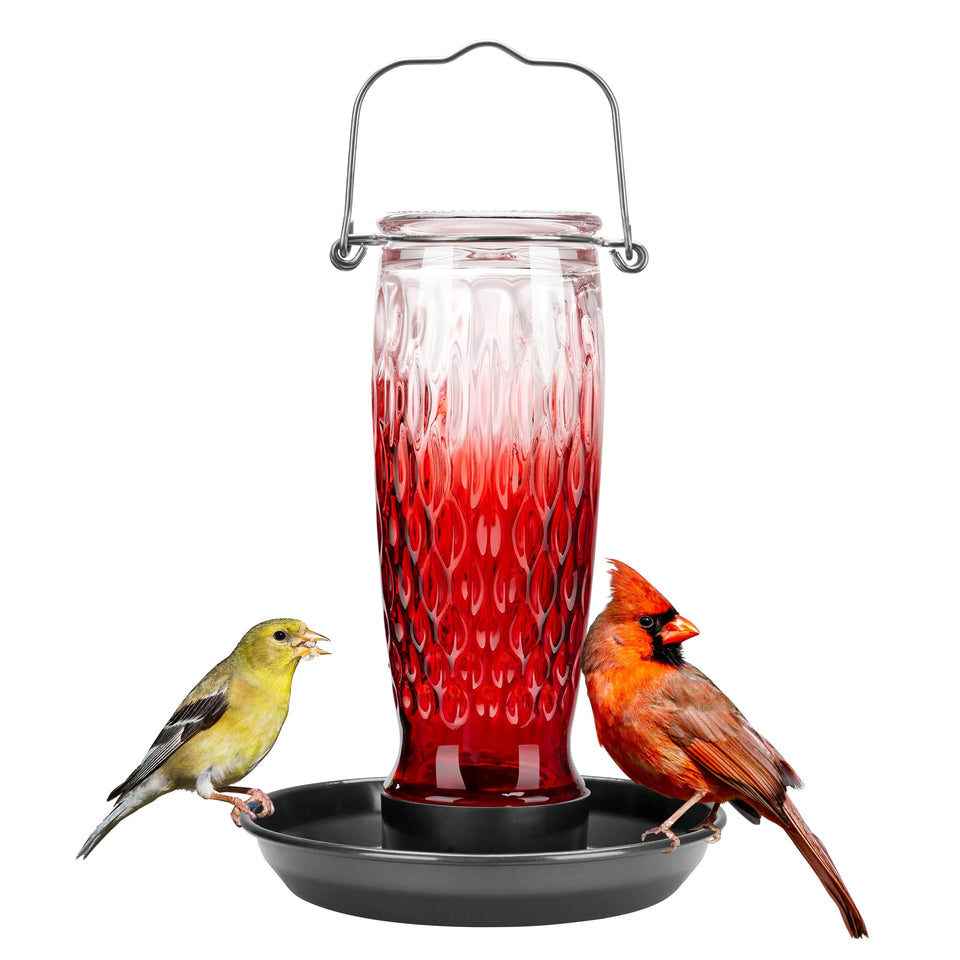 Kingsyard bird water feeder with glass container for outdoor hydration.