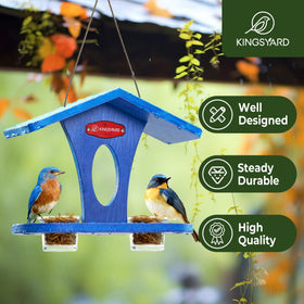 Kingsyard bluebird feeder with 5 oz clear glass dishes