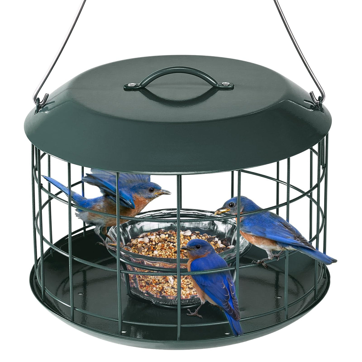 Kingsyard bluebird feeder lid open for easy refilling in the garden.