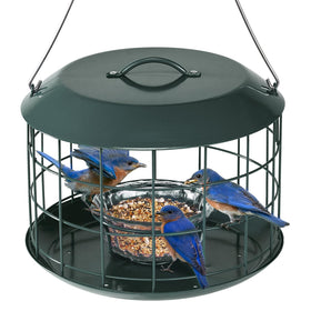 Kingsyard bluebird feeder lid open for easy refilling in the garden.