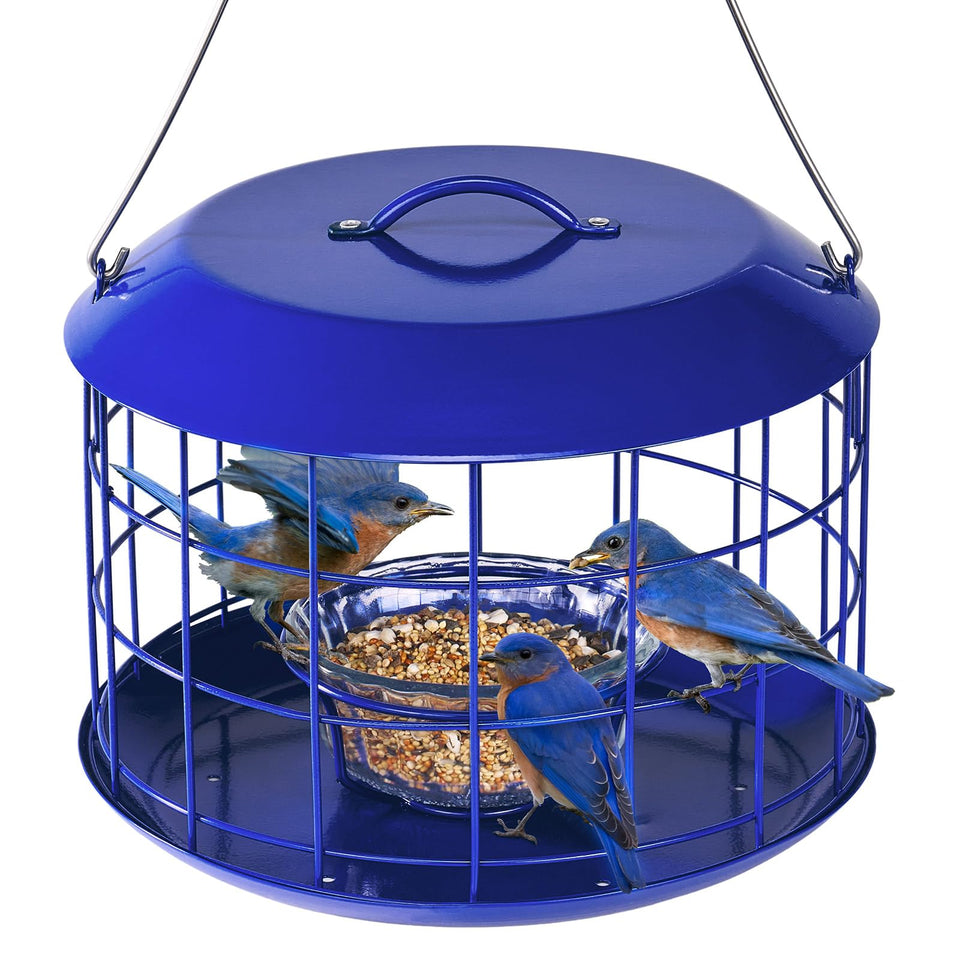 Kingsyard Bluebird Feeder hanging outdoors, inviting bluebirds with a safe feeding perch