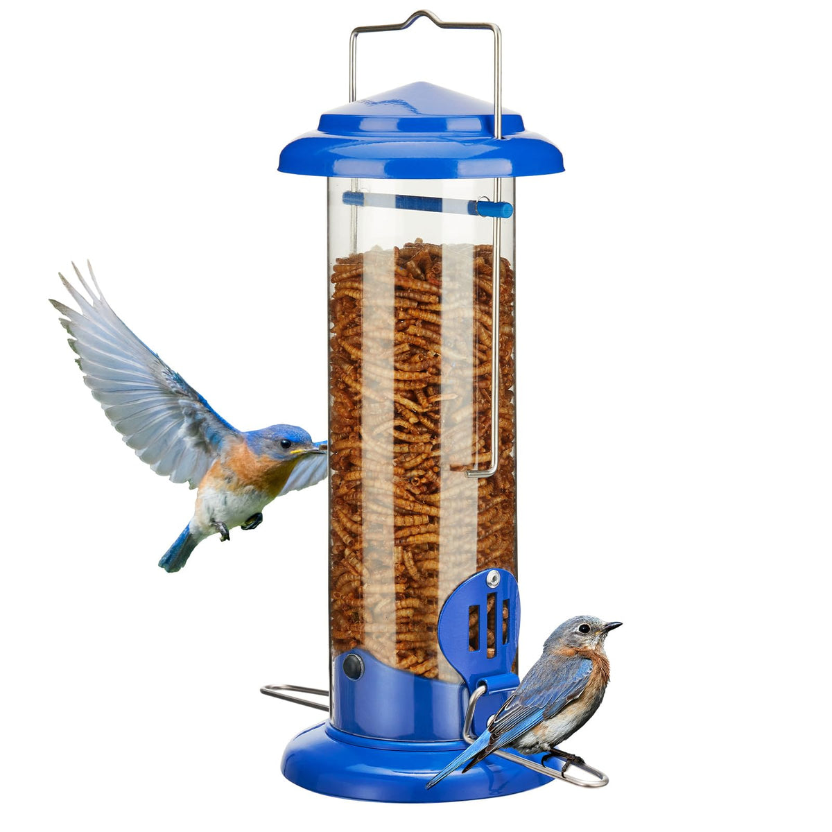 Kingsyard bluebird feeder for outdoors hanging offers easy access for small songbirds in any weather.