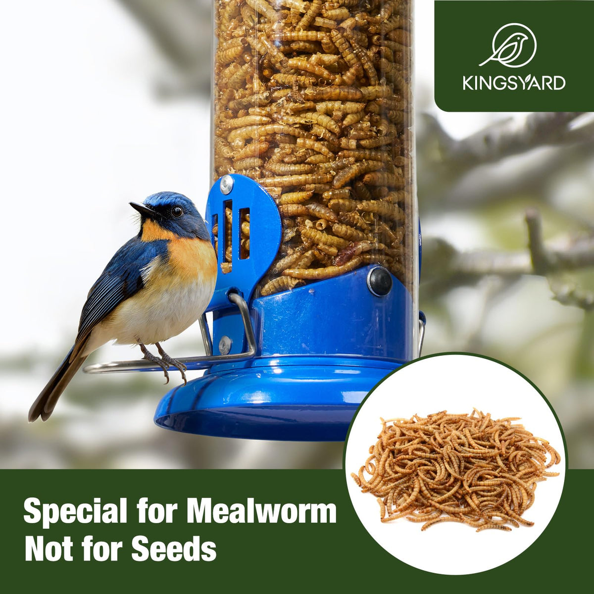 Kingsyard bluebird feeder with safety lid guards feed during rain.