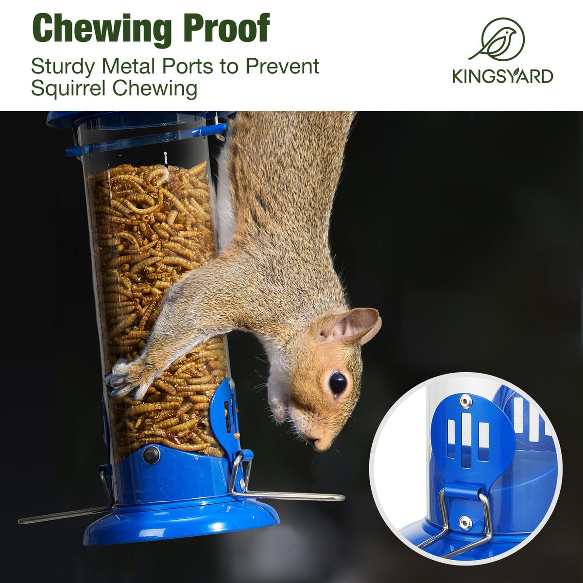 Kingsyard bluebird feeder with squirrel chew-proof design protects feed.
