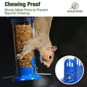Kingsyard bluebird feeder with squirrel chew-proof design protects feed.