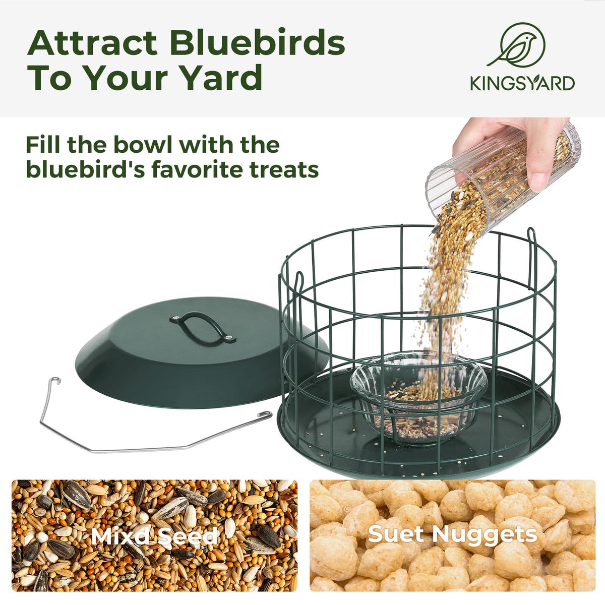 Kingsyard feeder shows squirrel-resistant design for safer outdoor feeding.