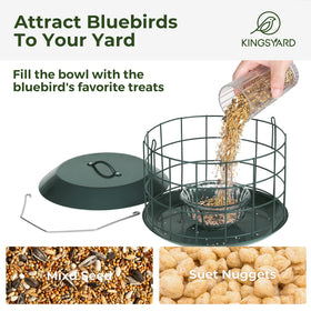 Kingsyard feeder shows squirrel-resistant design for safer outdoor feeding.