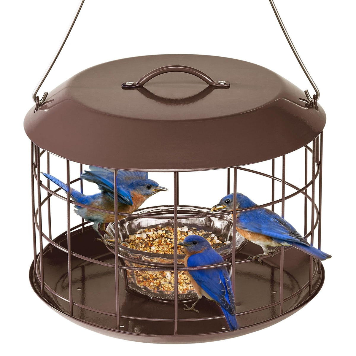 Kingsyard Bluebird Feeder top view shows weatherproof metal construction for year-round use