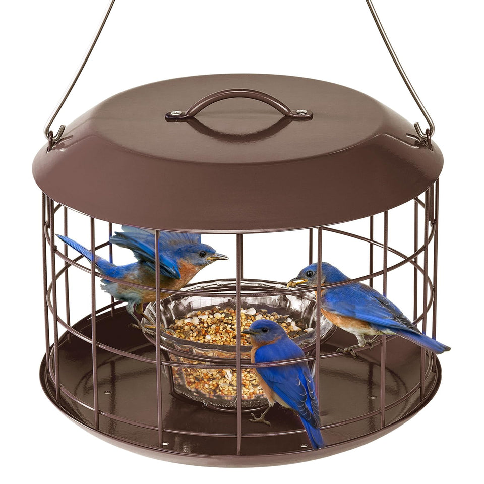 Kingsyard Bluebird Feeder top view shows weatherproof metal construction for year-round use