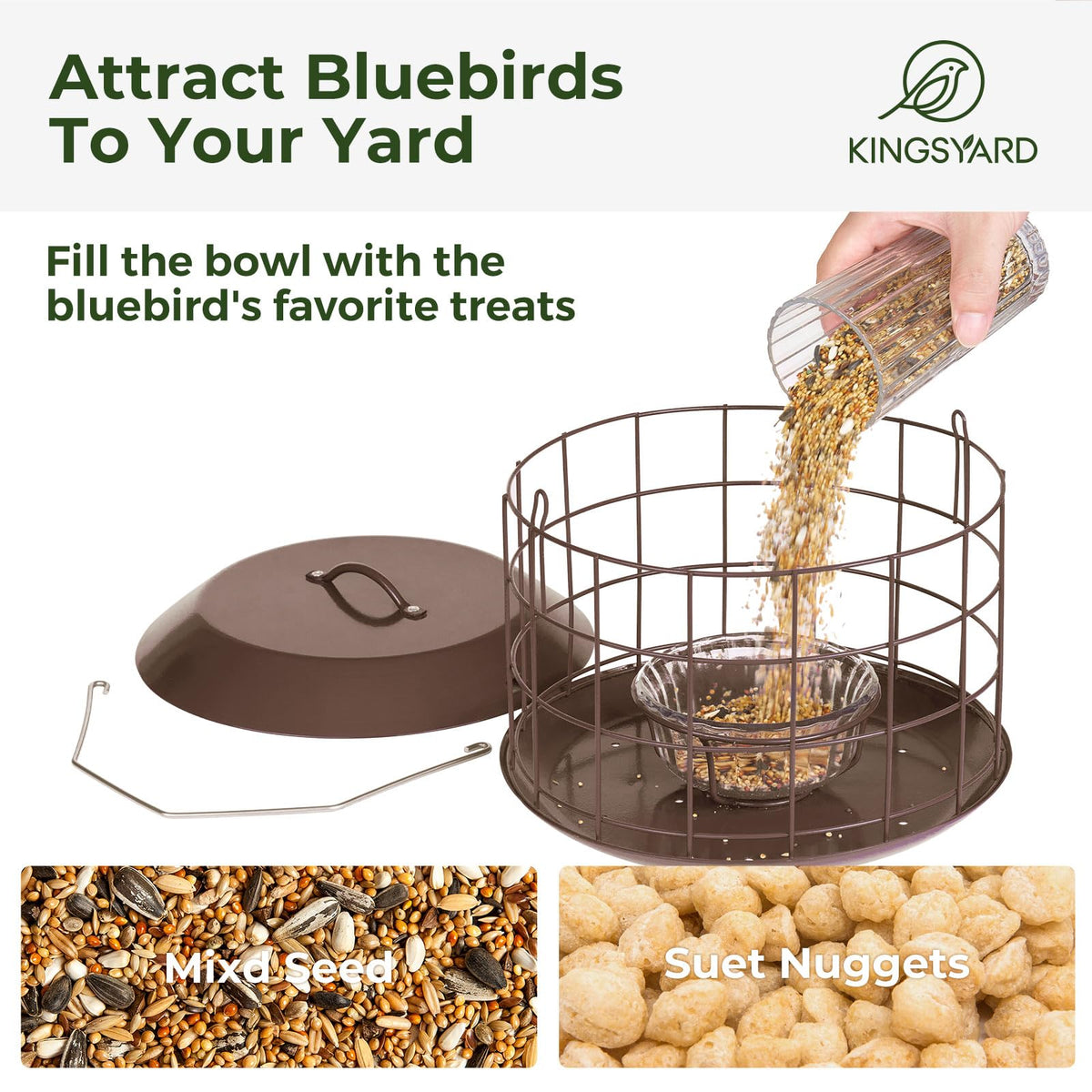 Kingsyard Bluebird Feeder tray and drainage close-up keeps seeds dry after rain