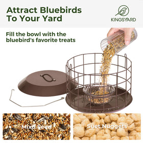 Kingsyard Bluebird Feeder tray and drainage close-up keeps seeds dry after rain