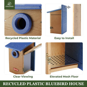 Kingsyard bluebird, wren, swallow, and finch friendly design welcomes diverse visitors.