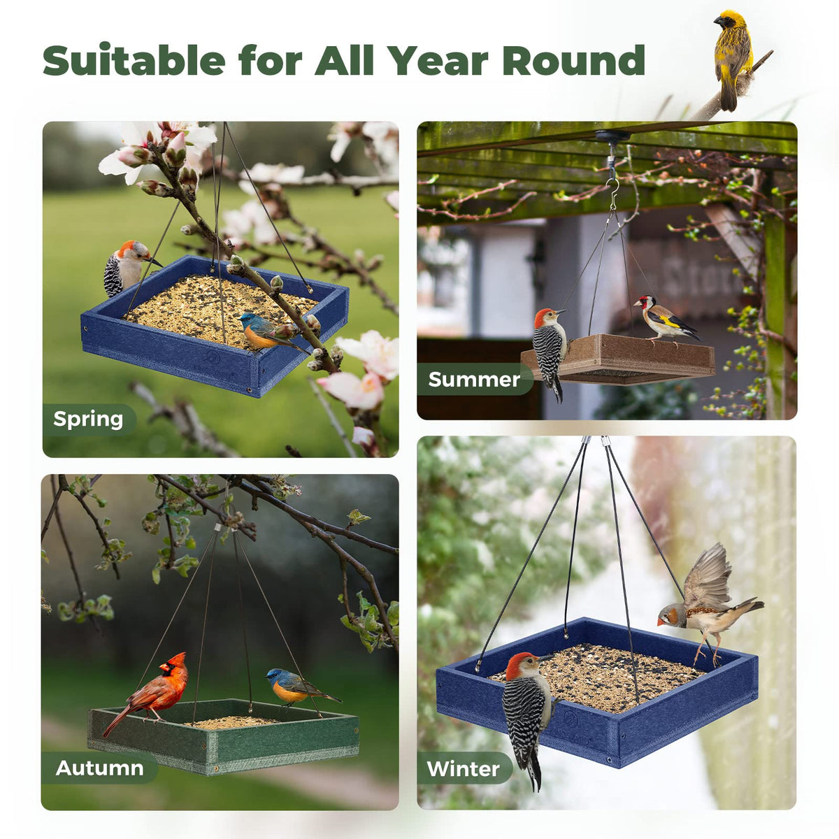 Kingsyard bottom mesh promotes ventilation and keeps seeds dry