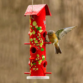 Kingsyard vibrant red tube feeder enhances any yard and bird-watching setup.