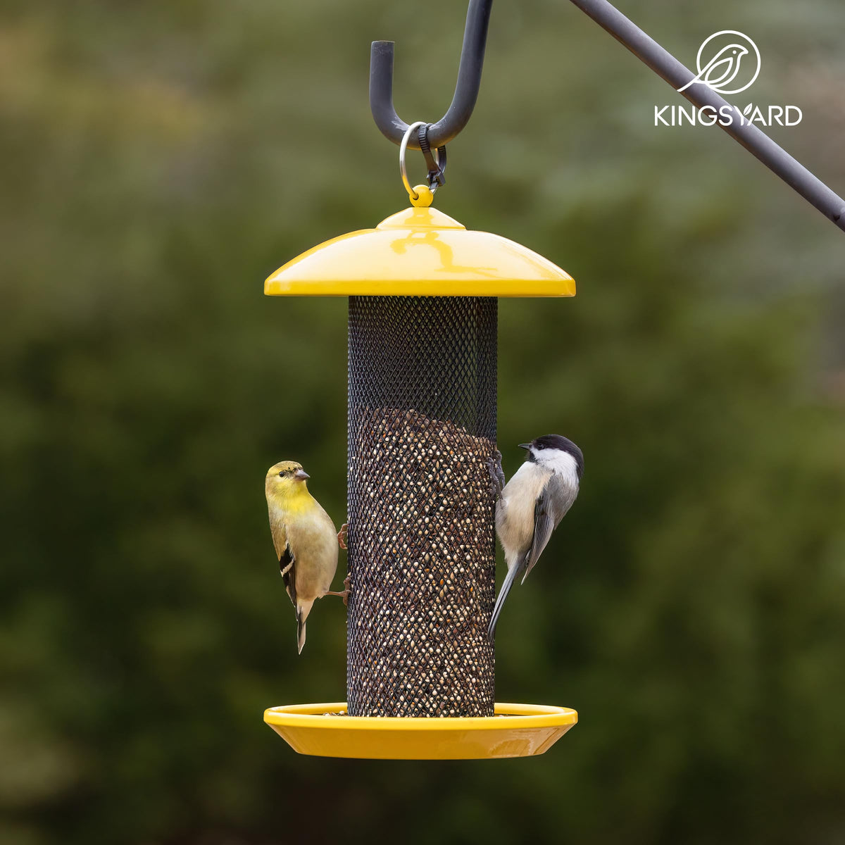 Kingsyard Diamond mesh and circular perch promote comfortable perching.