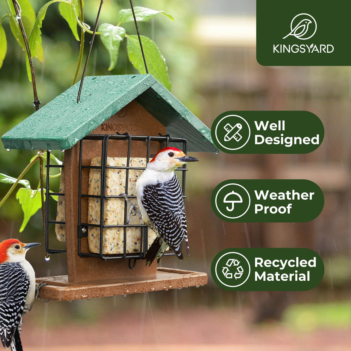 Kingsyard two suet cages easy-refill attract woodpeckers and chickadees in your yard.